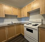 UPDATED 2 Bedroom with Laundry Hook Up, Park & Fenced Yard