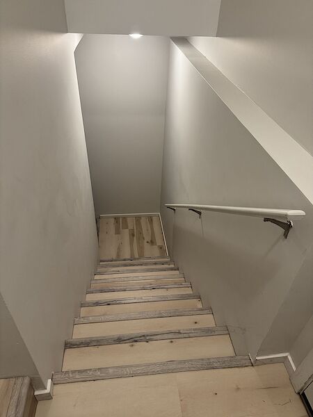 Calgary 1 bedroom Basement for rent. Property photo: 651494-3