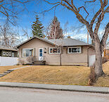 Bright a spacious 1 bedroom basement suite in well-loved bungalow