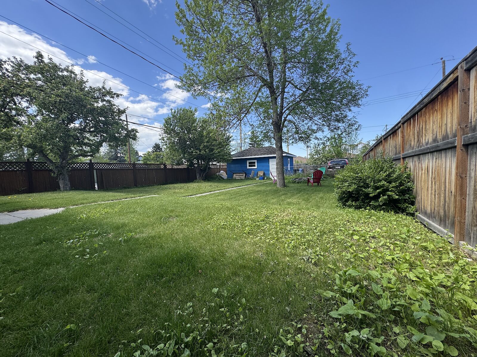 Calgary 1 bedroom Basement for rent. Property photo: 652025-1