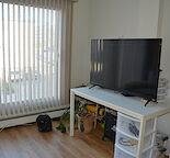 Cozy 1 Bedroom