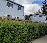 Recent Renovated 2 Bedrooms 1.5Bth Townhouse in Falconridge