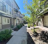 Charming 2.5-Bedroom, 2.5-Bathroom Townhome in Legacy SE – Modern Comfort Awaits