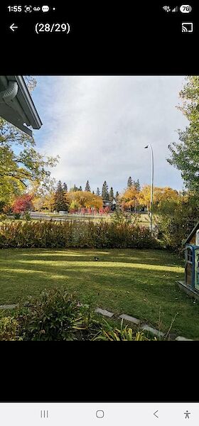 Calgary 1 bedroom Basement for rent. Property photo: 666855-3
