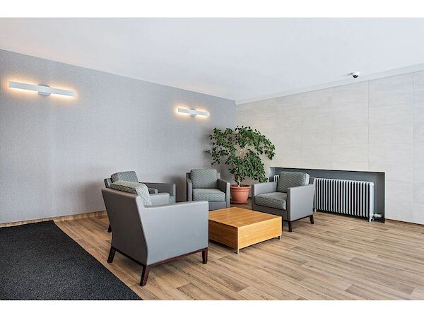 North York bachelor bedrooms Apartment for rent. Property photo: 670776-3