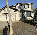 1 large bedroom for rent in newly renovated house