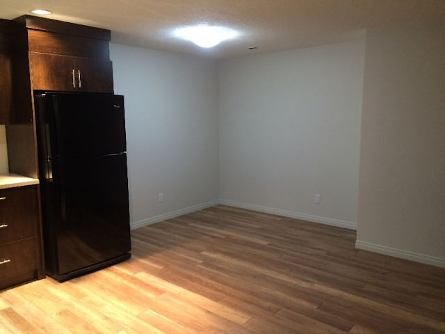 Calgary 2 bedrooms Basement for rent. Property photo: 683753-1