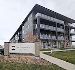 Cozy 1 bed luxury condo unit
