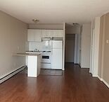 Spacious Downtown Calgary Apartment