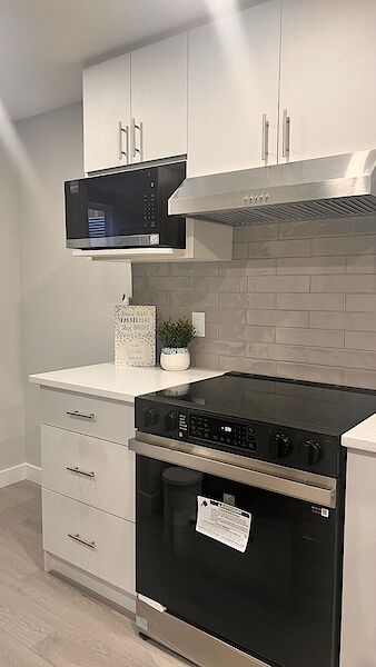 Calgary 2 bedrooms Basement for rent. Property photo: 695828-3