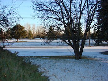 Calgary 3 bedrooms House for rent. Property photo: 6960-3