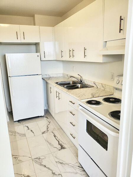 Mississauga 1 bedrooms Apartment for rent. Property photo: 697423-2