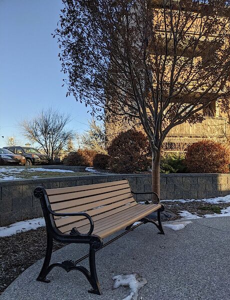Calgary 1 bedroom Condo Unit for rent. Property photo: 700849-2