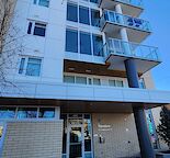 Cozy Living Place at the Theodore