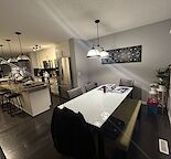 Basement Suite