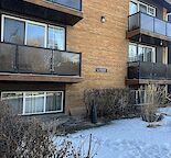 Modern 1-Bedroom Condo for Rent