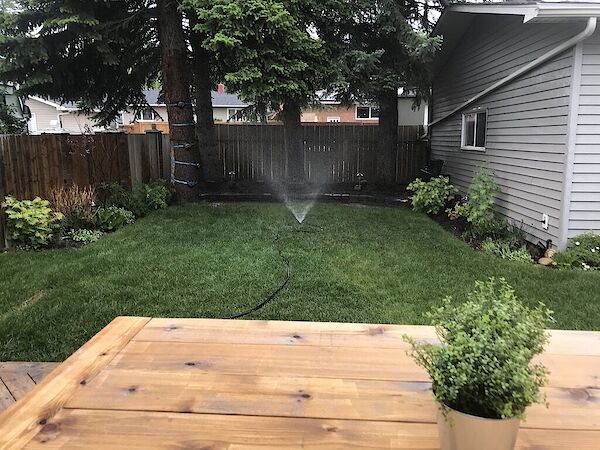 Calgary 1 bedroom Room For Rent for rent. Property photo: 711449-2