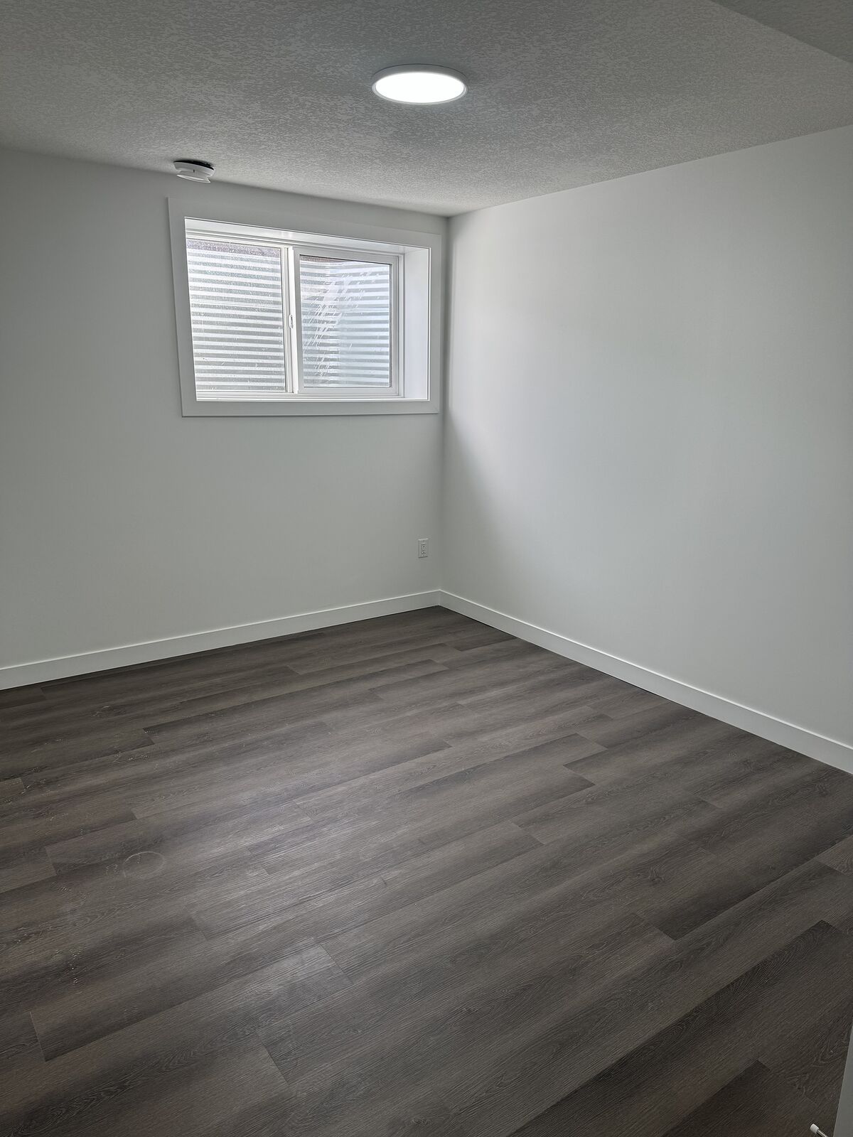 Calgary 2 bedrooms Basement for rent. Property photo: 713930-1