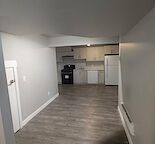 1 bedroom plus den basement suite in saddletowne