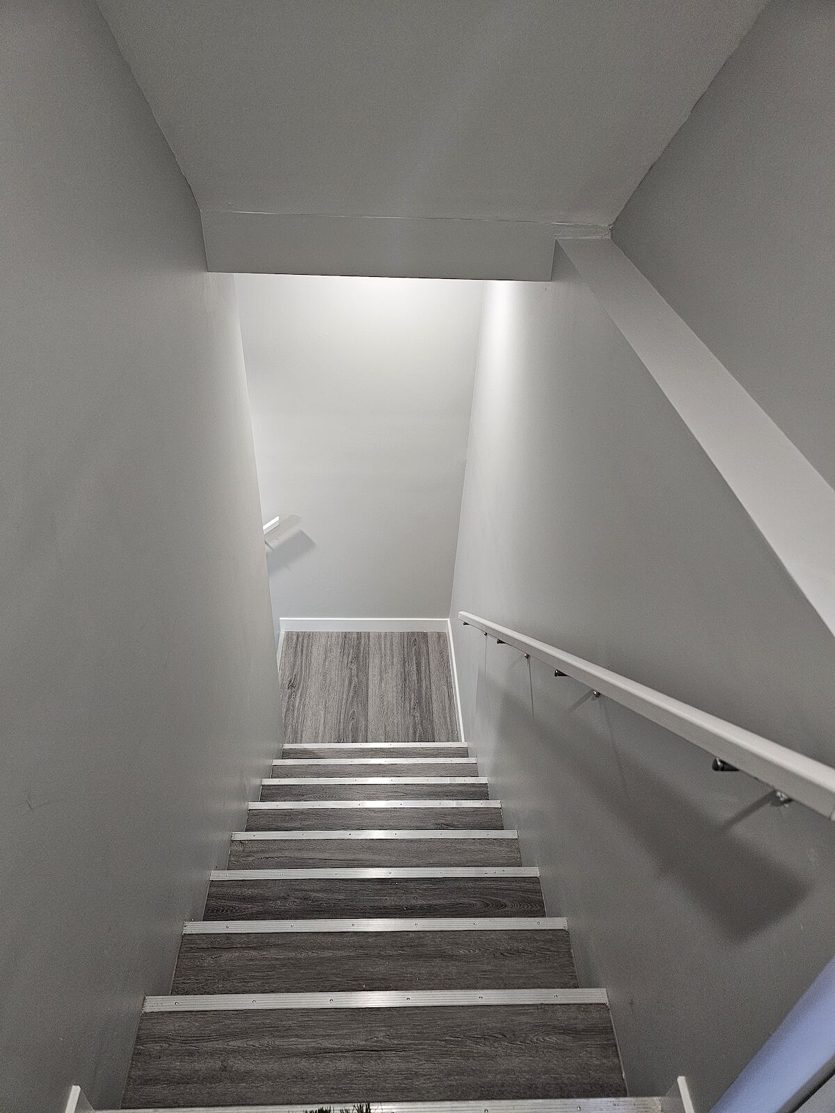 Calgary 2 bedrooms Basement for rent. Property photo: 716686-1