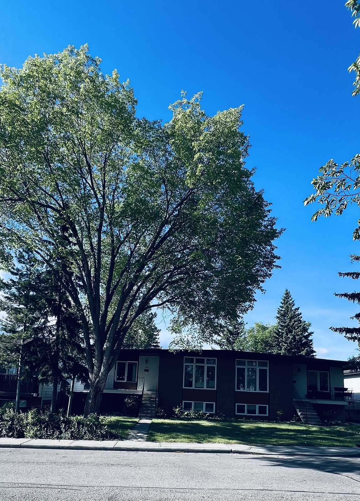 Calgary 2 bedrooms Fourplex for rent. Property photo: 722633-1