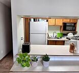 Room for Rent in the Beltline
