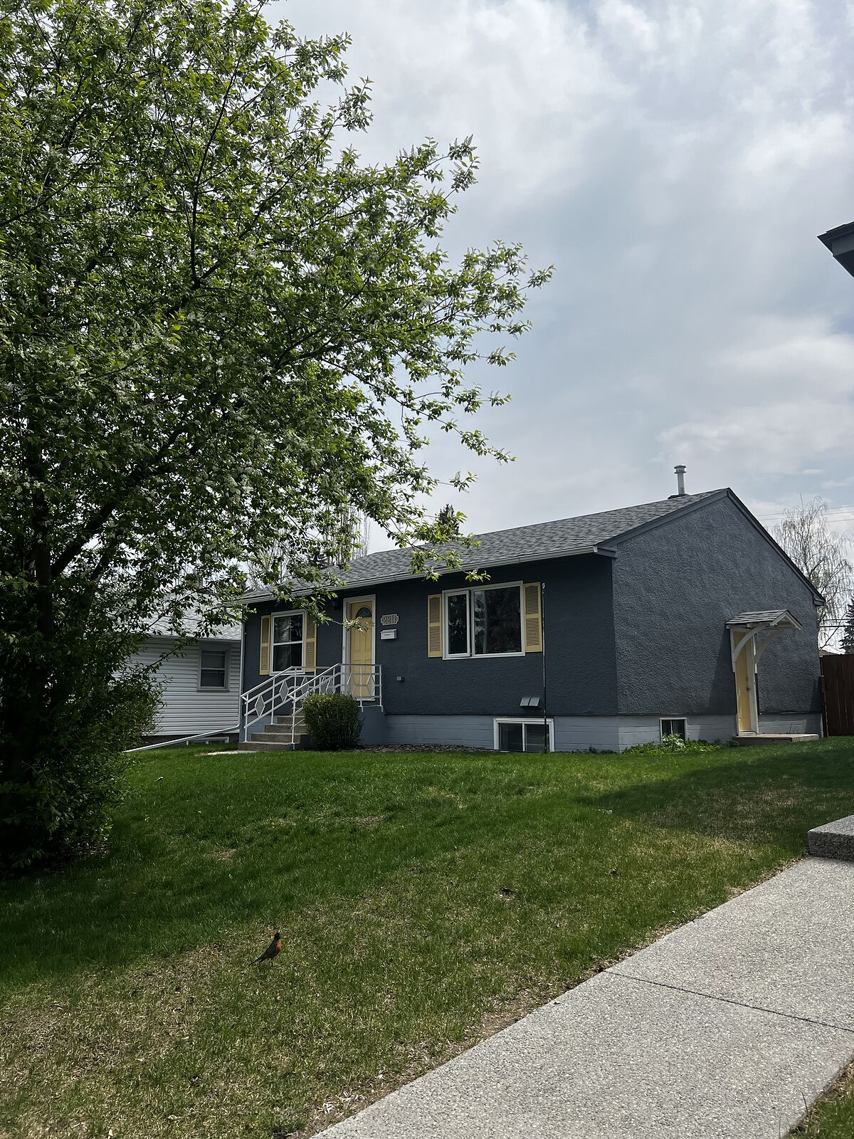 Calgary 2 bedrooms Basement for rent. Property photo: 730063-1