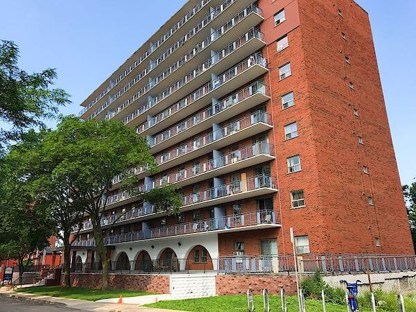 Hamilton 1 bedroom Apartment for rent. Property photo: 732565-2