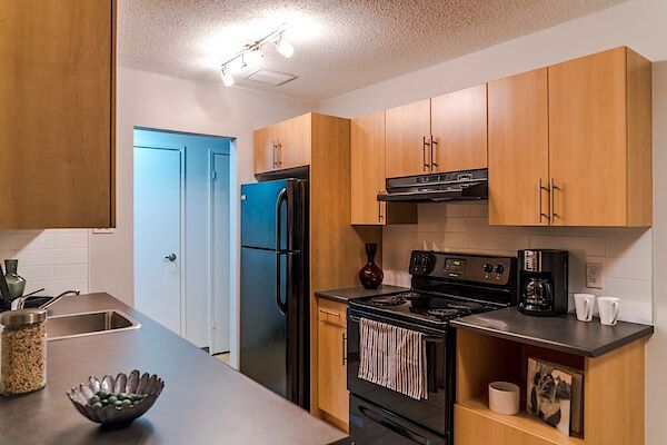 Winnipeg bachelor bedrooms Apartment for rent. Property photo: 732668-3
