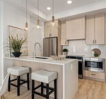 FULLY FURNISHED AND COMPLETELY MOVE- IN READY