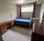 Cozy room for rent