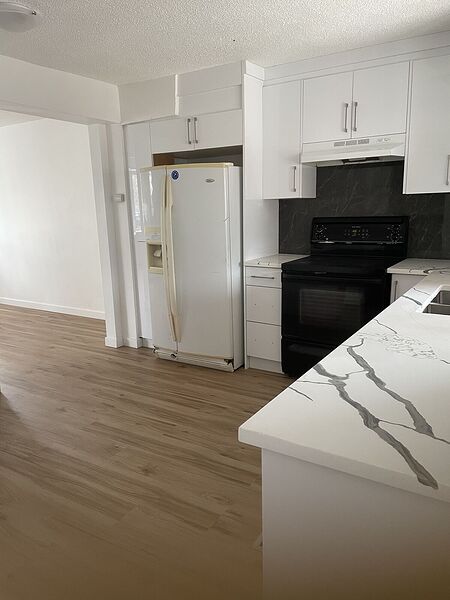 Calgary 4 bedrooms House for rent. Property photo: 737861-3