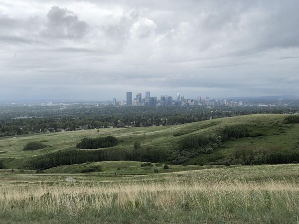 Calgary 3 + Den bedrooms Room For Rent for rent. Property photo: 738702-2