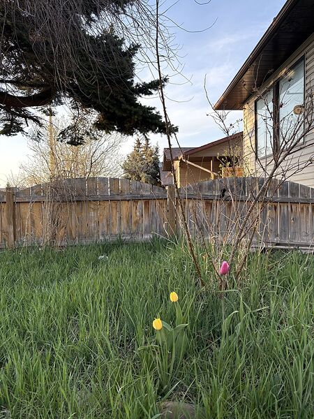 Calgary 1 bedroom Duplex for rent. Property photo: 738819-2