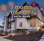 Newly Constructed Basement Suites Available - Altadore - 1 Month Free Rent