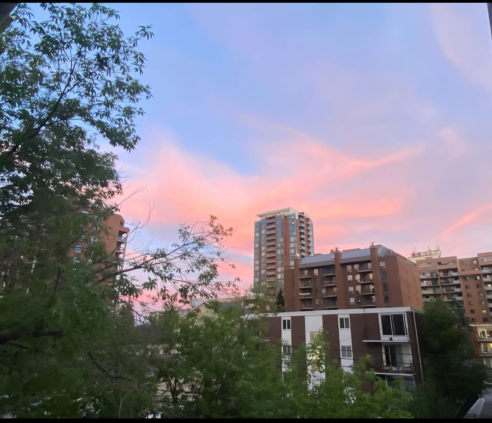 Calgary 2 bedrooms Condo Unit for rent. Property photo: 741340-1