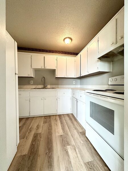 Calgary 2 bedrooms Duplex for rent. Property photo: 743584-2