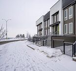 Unison 1 Bedroom Lower Suite in Seton - Zen Sequel