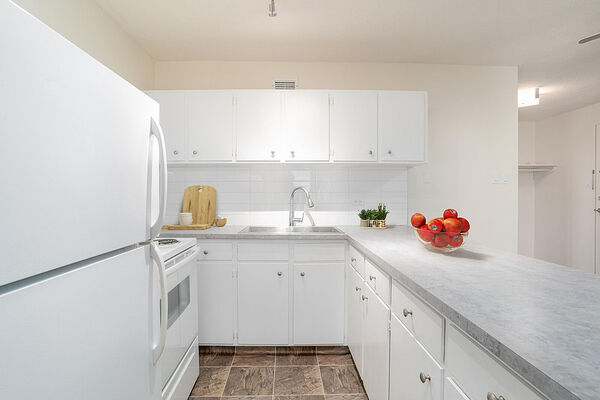 Edmonton 1 bedrooms Apartment for rent. Property photo: 745242-3
