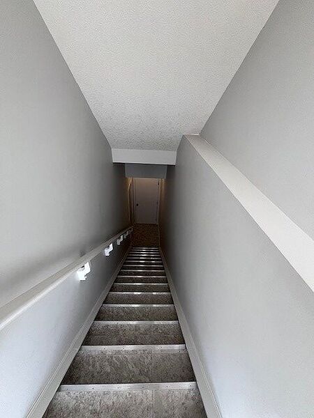 Calgary 2 bedrooms Basement for rent. Property photo: 745368-2