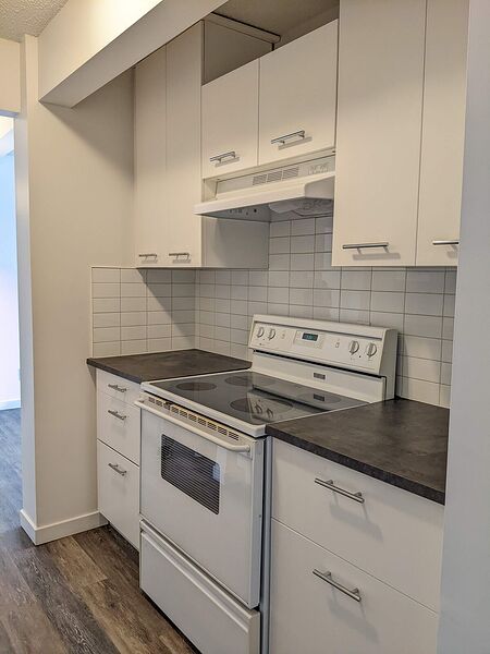 Calgary 2 bedrooms Condo Unit for rent. Property photo: 745531-3