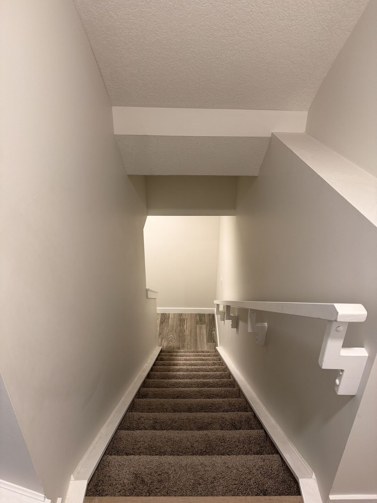 Calgary 1 bedroom Basement for rent. Property photo: 746537-1