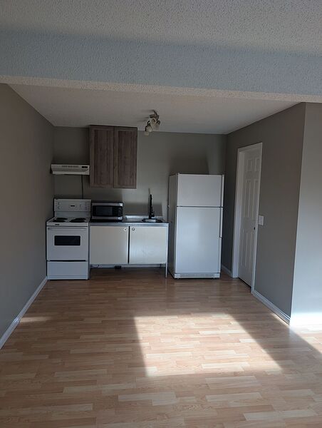 Calgary 2 bedrooms House for rent. Property photo: 747001-3