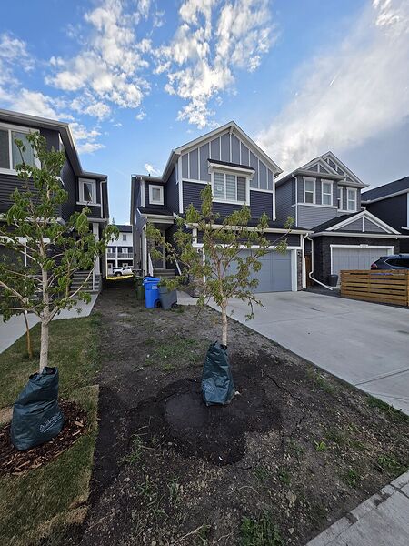 Calgary 3 + Den bedrooms Main Floor for rent. Property photo: 747718-2