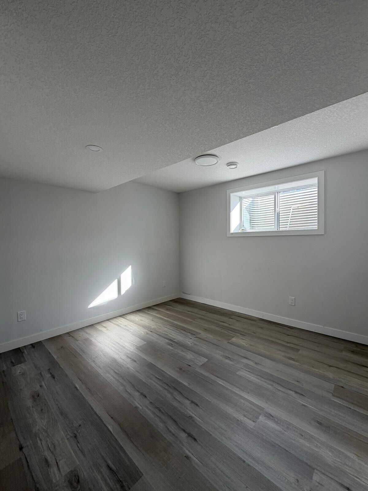Calgary 2 bedrooms Basement for rent. Property photo: 747807-1