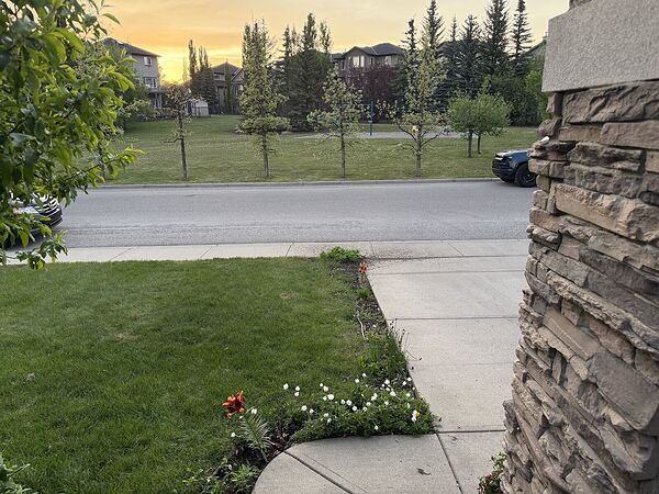 Calgary 2 bedrooms Basement for rent. Property photo: 747977-2