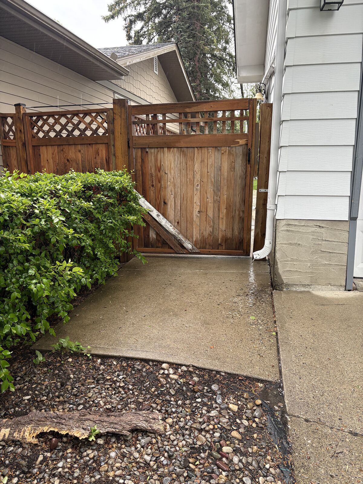 Calgary 1 + Den bedrooms Basement for rent. Property photo: 748595-1