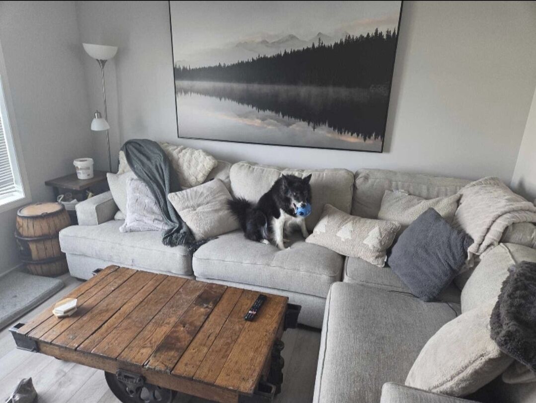 Calgary 1 bedroom Room For Rent for rent. Property photo: 749970-1