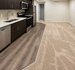 Brand New 2 Bed/1 Bath Basement Suite Available for Rent in Mahogany