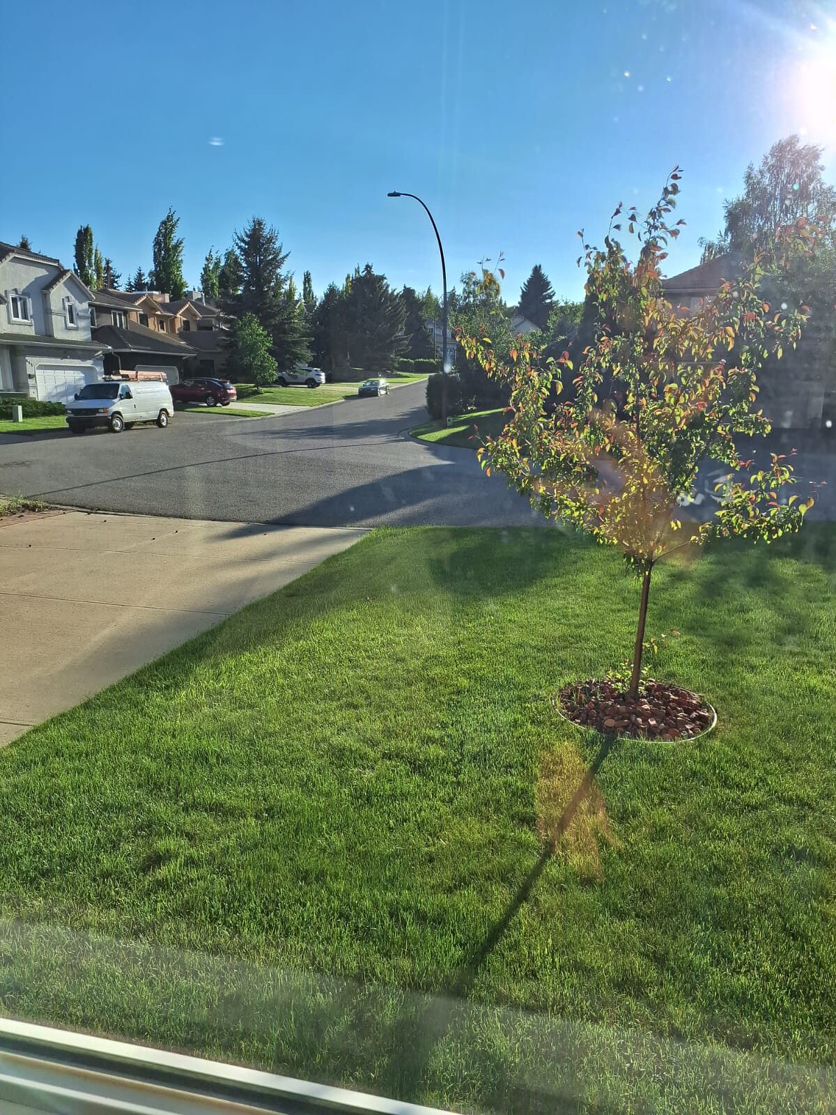 Calgary 3 bedrooms House for rent. Property photo: 751587-1